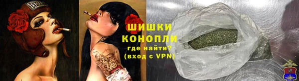 шишки Арсеньев
