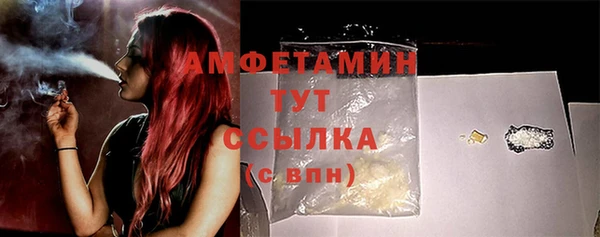 шишки Арсеньев