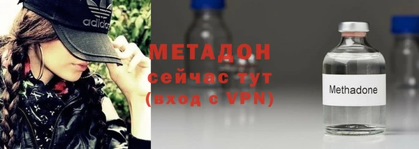 шишки Арсеньев