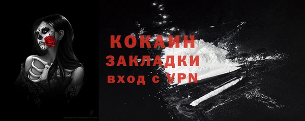 шишки Арсеньев