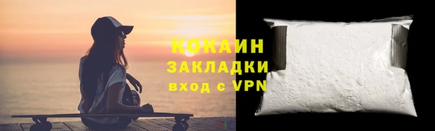 шишки Арсеньев