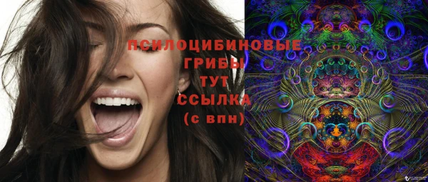 ECSTASY Аркадак