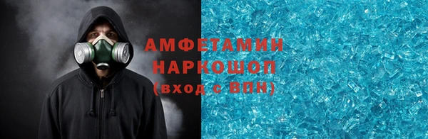 шишки Арсеньев