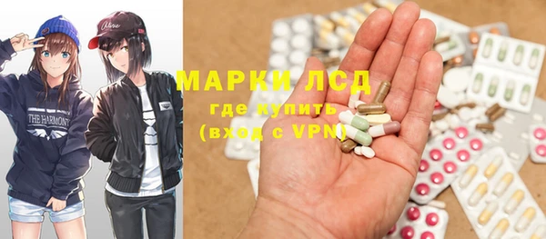 шишки Арсеньев