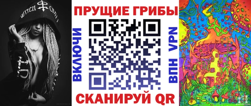 хочу наркоту  Ессентуки  Галлюциногенные грибы MAGIC MUSHROOMS 