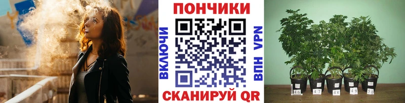 это официальный сайт  Ессентуки  Канабис SATIVA & INDICA 